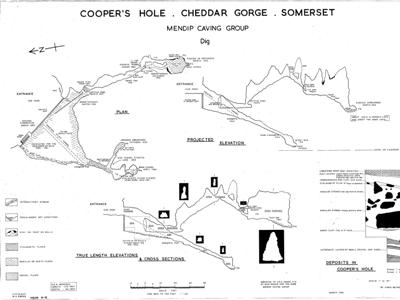 Coopers Hole survey