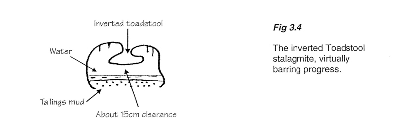 Fig 3.4 The inverted Toadstool