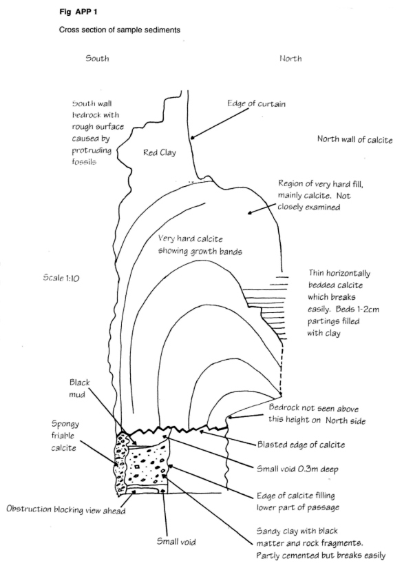 Cross section of sample sediments