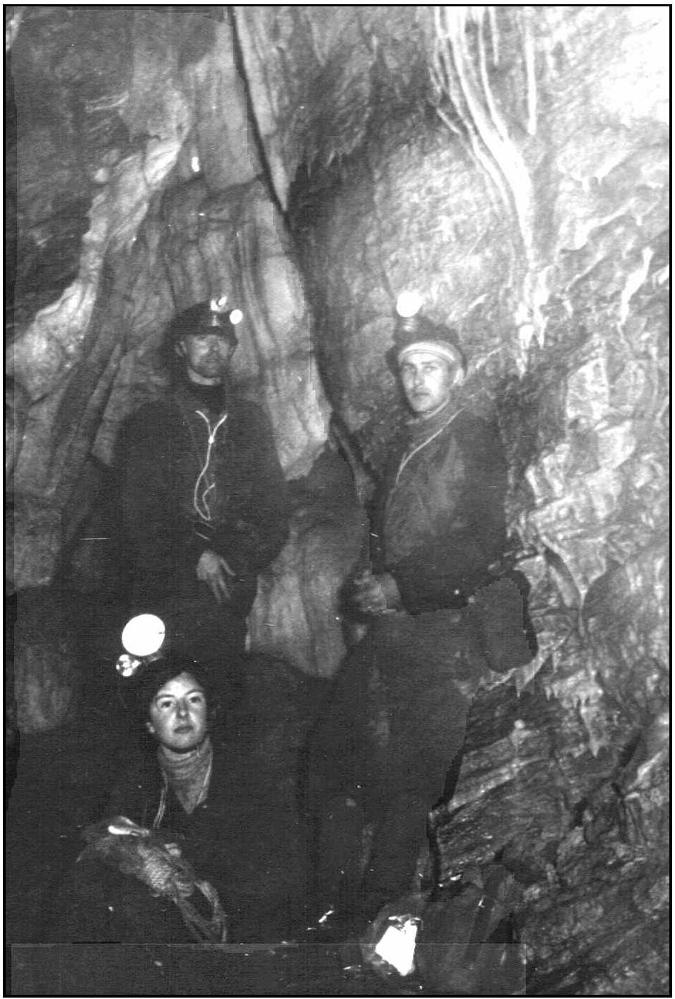 Possibly Mike Burbidge (L), Les James, Julie de Gory , 1954 