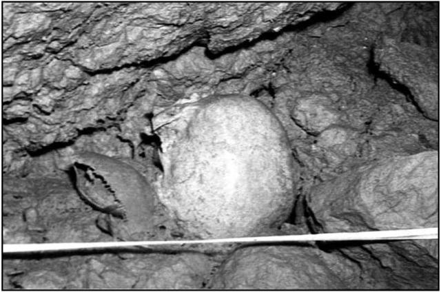 Skull found in Ubley Hill Pot (1960)