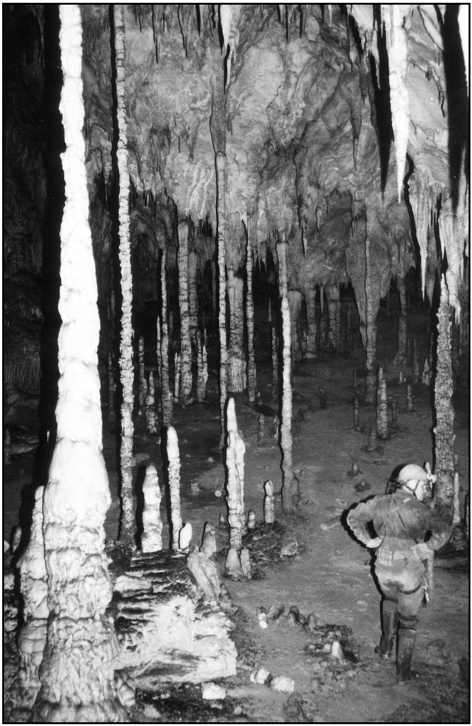 Cueto Coventosa