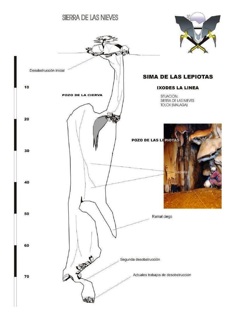 Survey of Sima de las Lepiotas after Ixodes la Linea