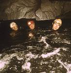 Three heads in water, Pant Mawr