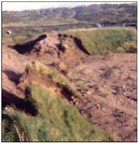 view along causeway from the west, photo attributed to R Saunders