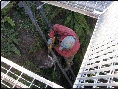 Installing the fixed ladder Photo B Frith